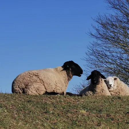 Apartmán Domizil Wattenmeer