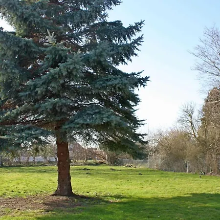 Domizil Wattenmeer Apartmán